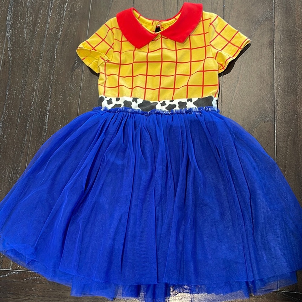Taylor Joelle cowgirl dress
